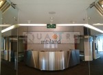 intiland (1)